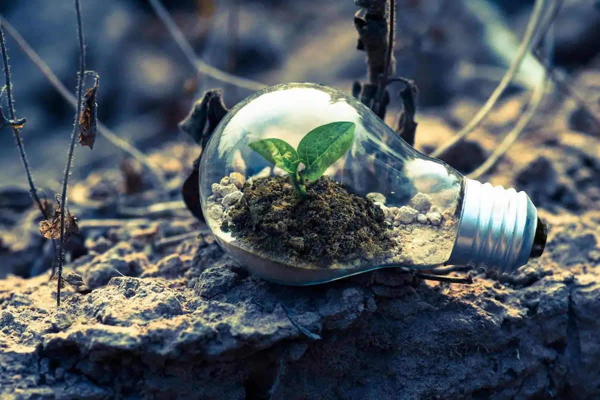 entreprise durable