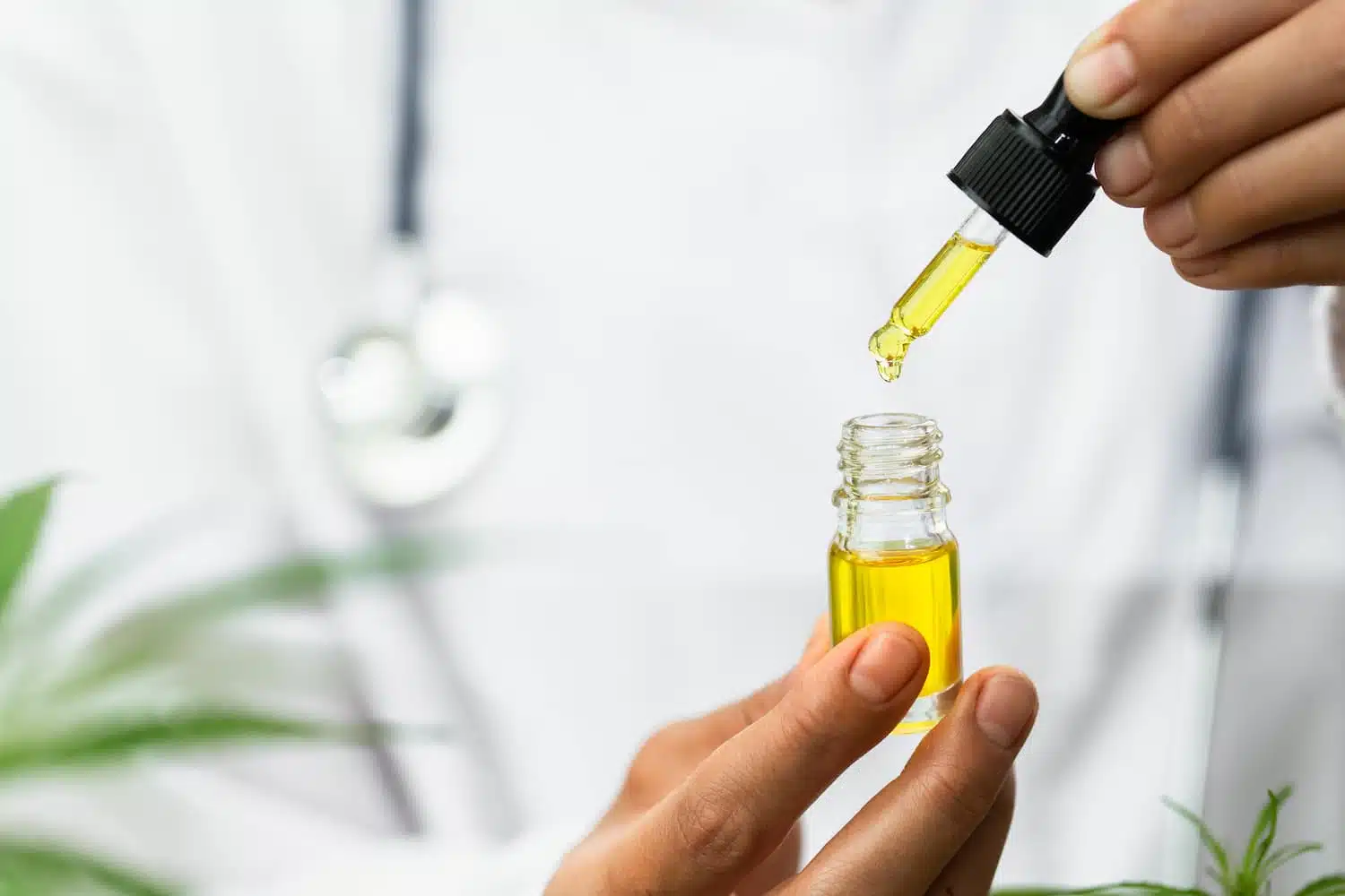 CBD et maladies cardiovasculaires 