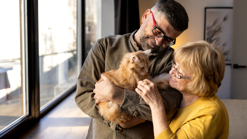 Choisir la meilleure assurance pour animaux : maximiser la protection de son compagnon !