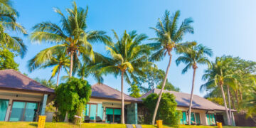 Koh Samui : une opportunité d'investissement immobilier en plein essor !