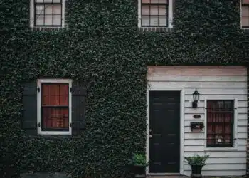 photo of house with green leafed covered wall