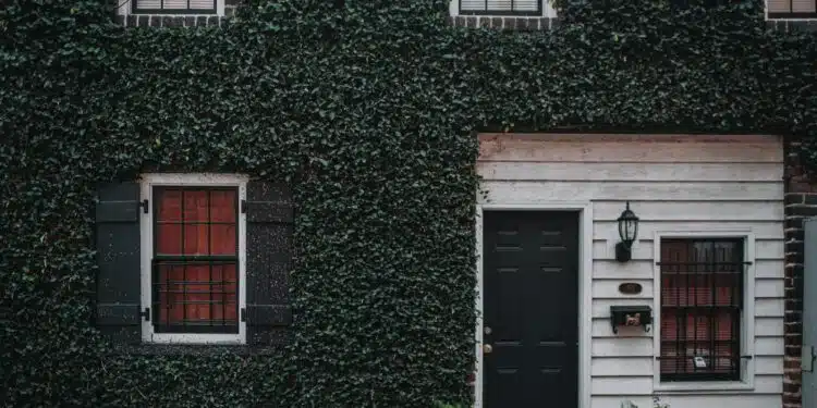 photo of house with green leafed covered wall