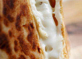 Quesadillas au fromage et poulet : l'art de la présentation !